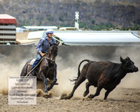 AdaminabyCampdraft2019_1176