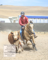 AdaminabyCampdraft2019_1170
