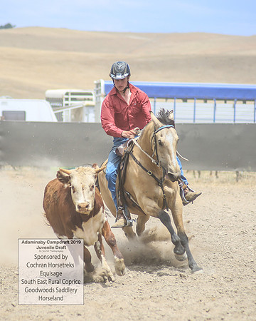 AdaminabyCampdraft2019_1170