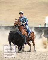 AdaminabyCampdraft2019_1140