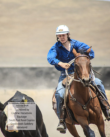 AdaminabyCampdraft2019_1156