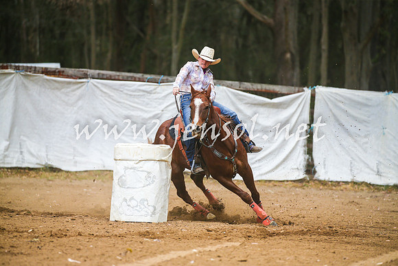 CooranbongSunOne_0137