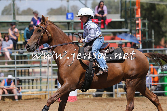 QueanbeyanRodeo2015_2317