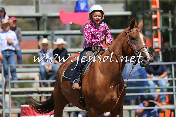QueanbeyanRodeo2015_2393