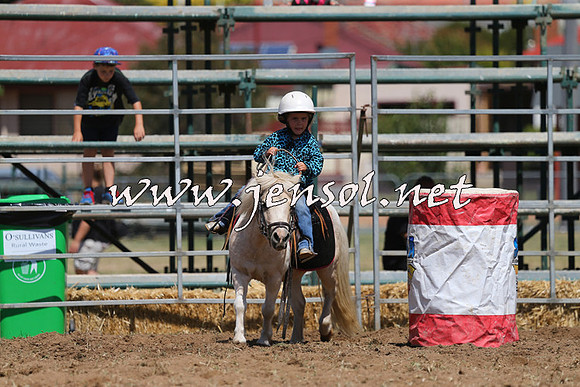 QueanbeyanRodeo2015_2431