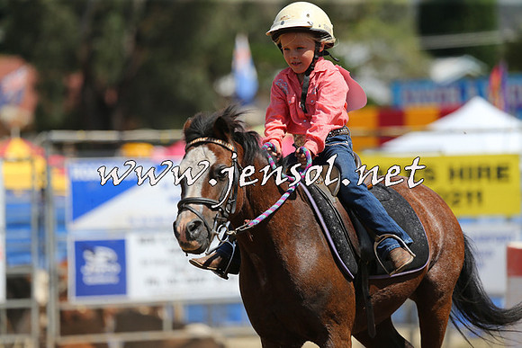 QueanbeyanRodeo2015_2477