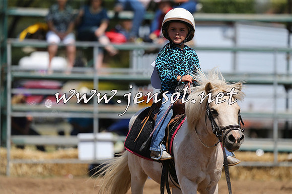 QueanbeyanRodeo2015_2433