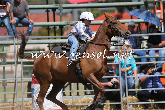 QueanbeyanRodeo2015_2311