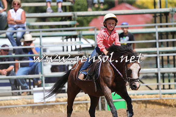 QueanbeyanRodeo2015_2462