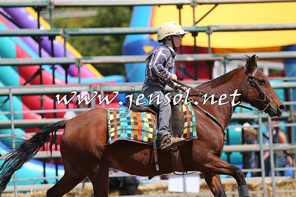 QueanbeyanRodeo2015_2359