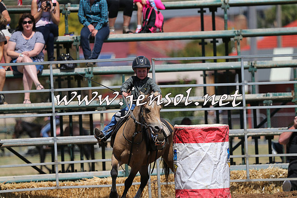 QueanbeyanRodeo2015_2259