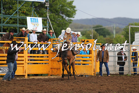 QueanbeyanRodeo2014_2199