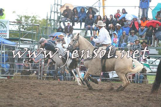 QueanbeyanRodeo2014_2869