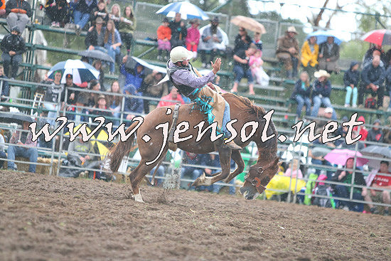 QueanbeyanRodeo2014_2838