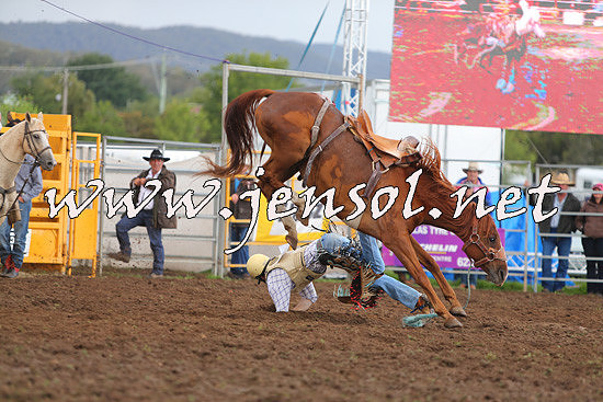 QueanbeyanRodeo2014_2126