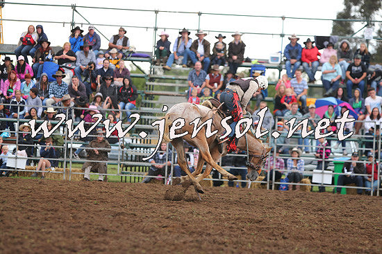 QueanbeyanRodeo2014_2326