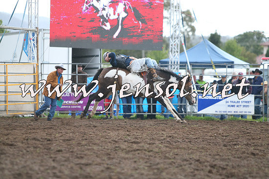 QueanbeyanRodeo2014_2860