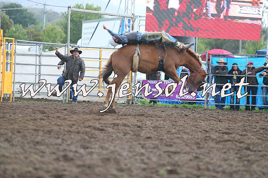 QueanbeyanRodeo2014_2808