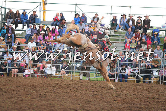 QueanbeyanRodeo2014_2315