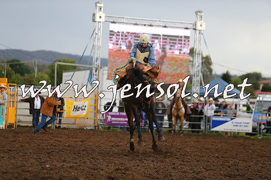 QueanbeyanRodeo2014_2281