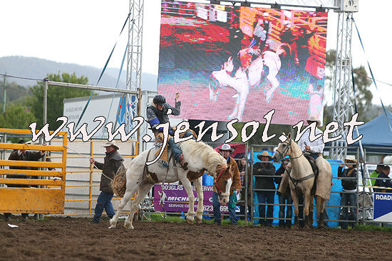 QueanbeyanRodeo2014_2893