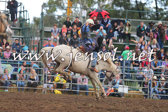 QueanbeyanRodeo2014_2179