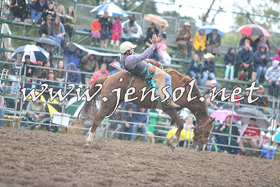 QueanbeyanRodeo2014_2836