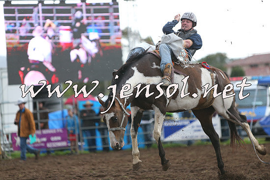 QueanbeyanRodeo2014_2875