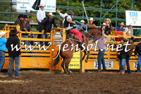 QueanbeyanRodeo2014_2100