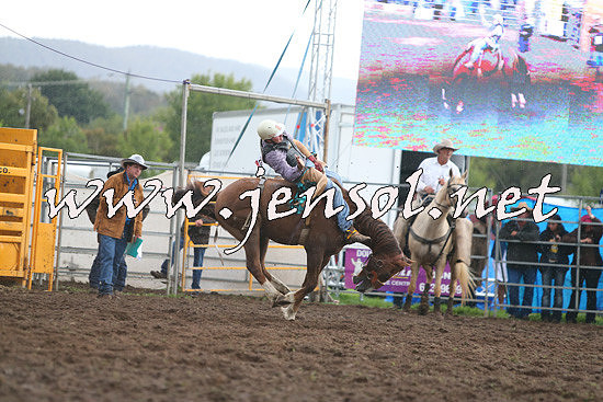 QueanbeyanRodeo2014_2812