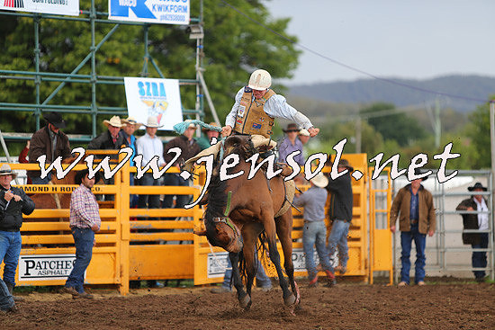 QueanbeyanRodeo2014_2207