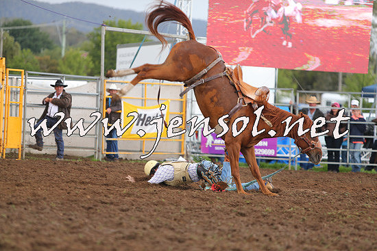 QueanbeyanRodeo2014_2125