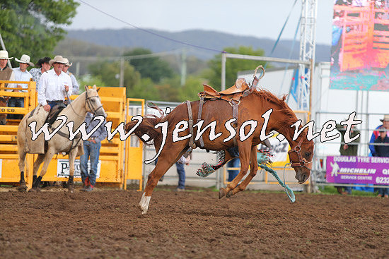 QueanbeyanRodeo2014_2130