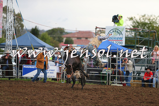 QueanbeyanRodeo2014_2244