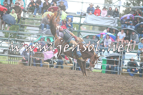 QueanbeyanRodeo2014_2833