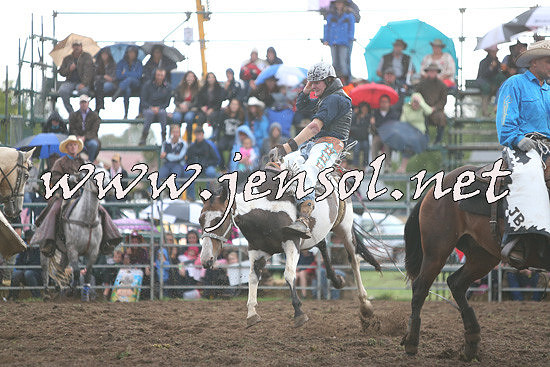 QueanbeyanRodeo2014_2866
