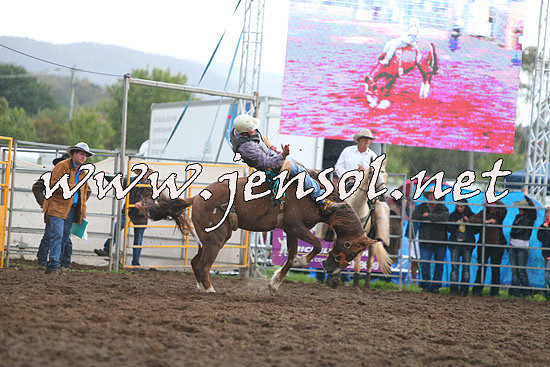 QueanbeyanRodeo2014_2819