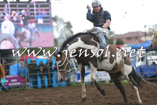 QueanbeyanRodeo2014_2878