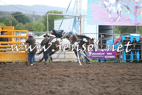 QueanbeyanRodeo2014_2852