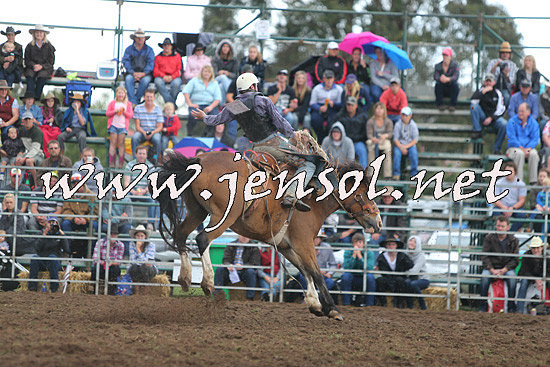 QueanbeyanRodeo2014_2273