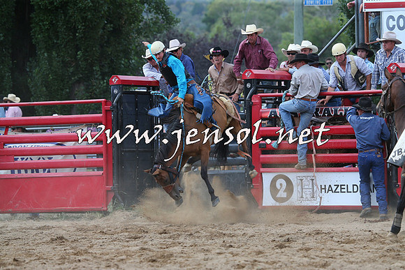 CoomaRodeo2015_2216