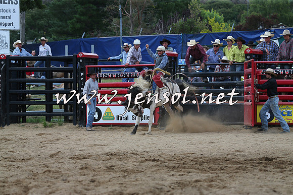 CoomaRodeo2015_2273