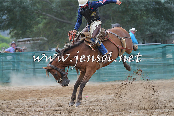 CoomaRodeo2015_2359