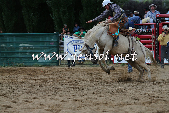 CoomaRodeo2015_2249