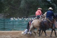 Broncs