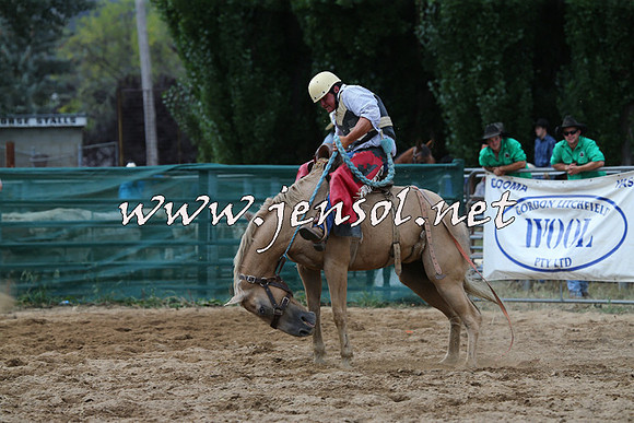 CoomaRodeo2015_2432