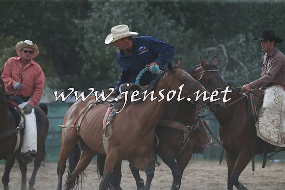 CoomaRodeo2015_2327