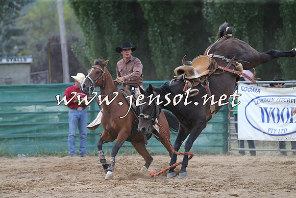 CoomaRodeo2015_2167