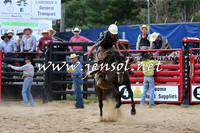 CoomaRodeo2015_2139