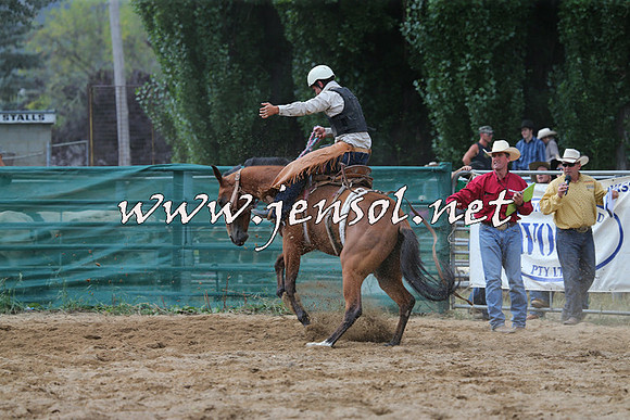 CoomaRodeo2015_2373